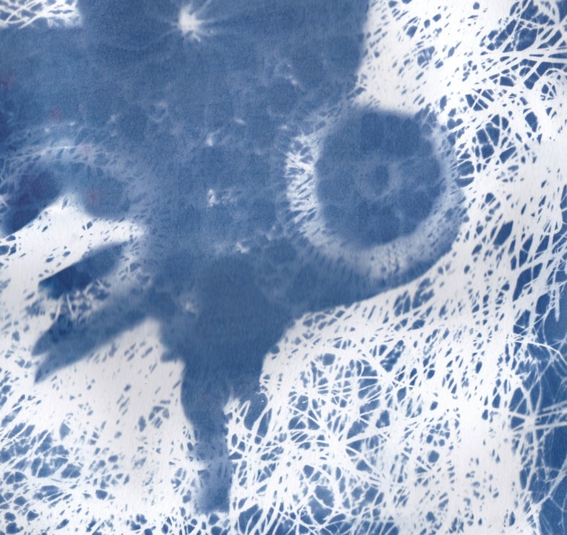 Owl in Flight Cyanotype, Fine Art Print of Flying Owl with Vintage Lace and Swirling Lines image 2