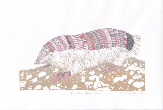 pink fairy armadillo plush