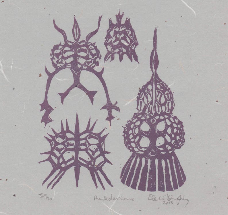 Silicon Print with Crystal, Quartz and Radiolarians, Periodic Table Lino Block Print Chemical Element Silicon image 6