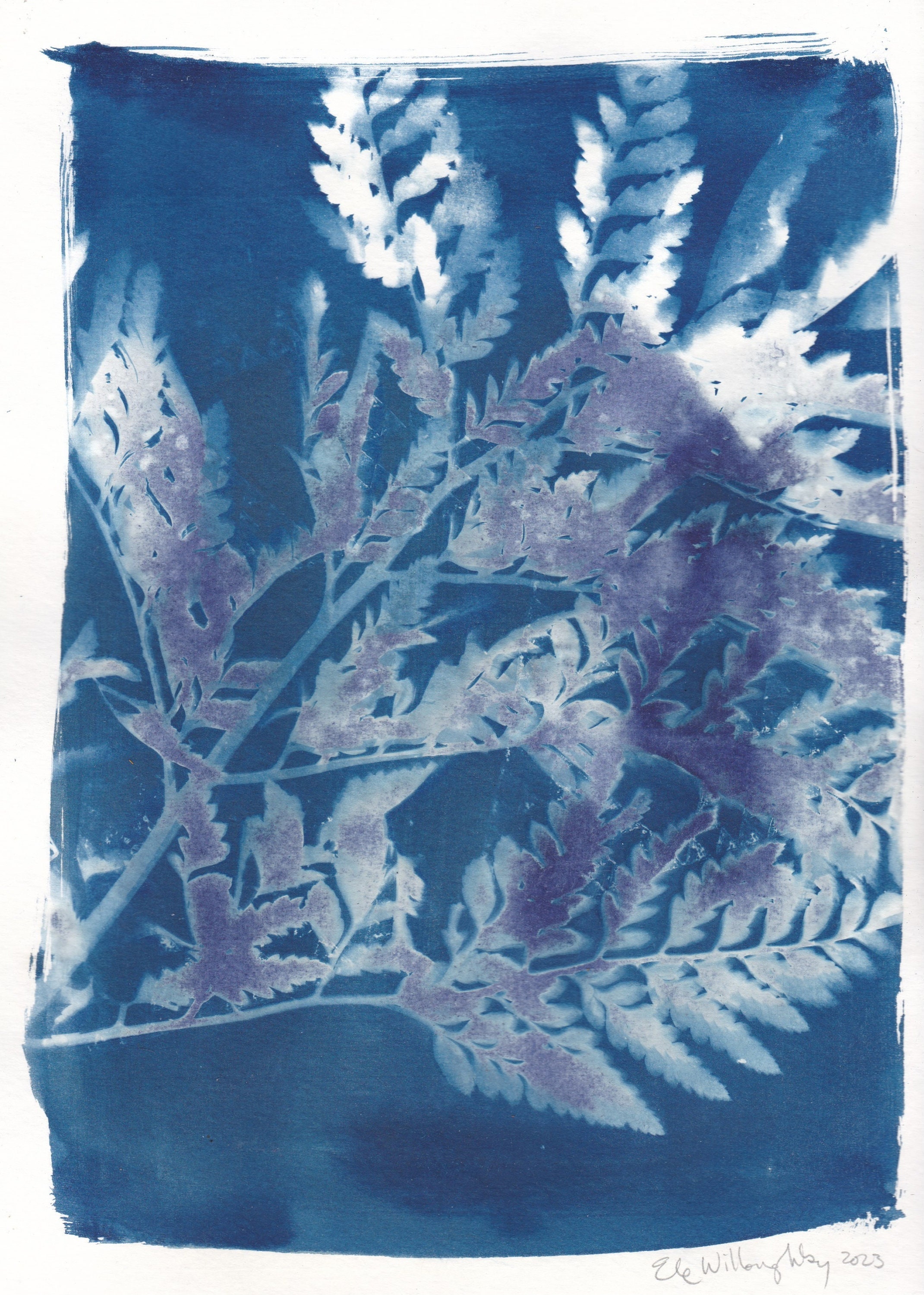 Fern Cyanotype on Watercolour Paper - Etsy