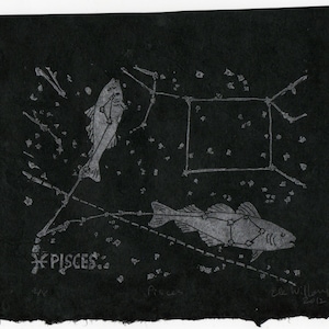 Sternbild Pisces Linoldruck in Silber auf Schwarz - Sternbilder Linoldruck Kollektion - Pisces the zodiac