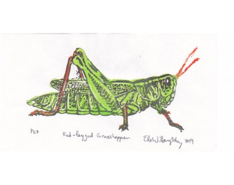 Red-legged Grasshopper Mini Lino Block Print