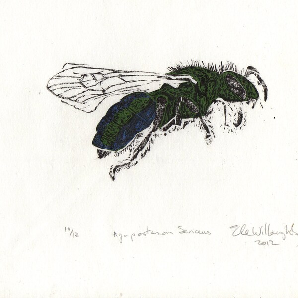 Metallic Green Bee Linocut - Lino Block Print of Agapostemon Sericeus the Sweat Bee in Blue and Green, Bee Biodiversity Print Collection