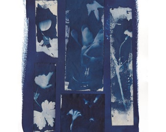 Collage of Cyanotypes of Assorted Plants on Various Handmade Japanese Washi Papers