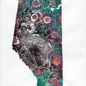 K&ouml;nnte beinhalten: Ein Schwarzwei&szlig;druck eines Dickhornschafs, das auf einer Wiese mit lila und gr&uuml;nen Blumen steht. Der Druck ist mit "Alberta" betitelt und mit "Ed Willoughby 2013" signiert.