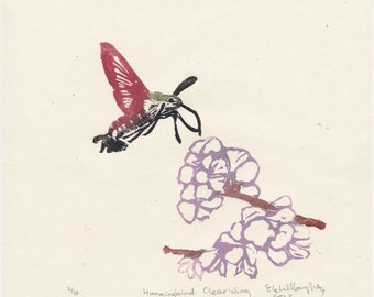 Hummingbird Clearwing Moth Linocut - Hemaris thysbe, nicknamed Flying Shrimp With Cherry Blossoms