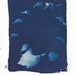 see more listings in the Cyanotypes section