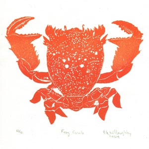 Lino Block Print Red Frog Crab, Ranina ranina, Spanner crab, True crab, Monarch of All Crabs image 5