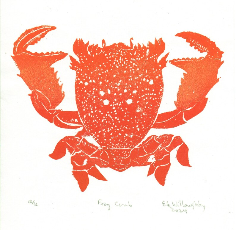 Lino Block Print Red Frog Crab, Ranina ranina, Spanner crab, True crab, Monarch of All Crabs image 5