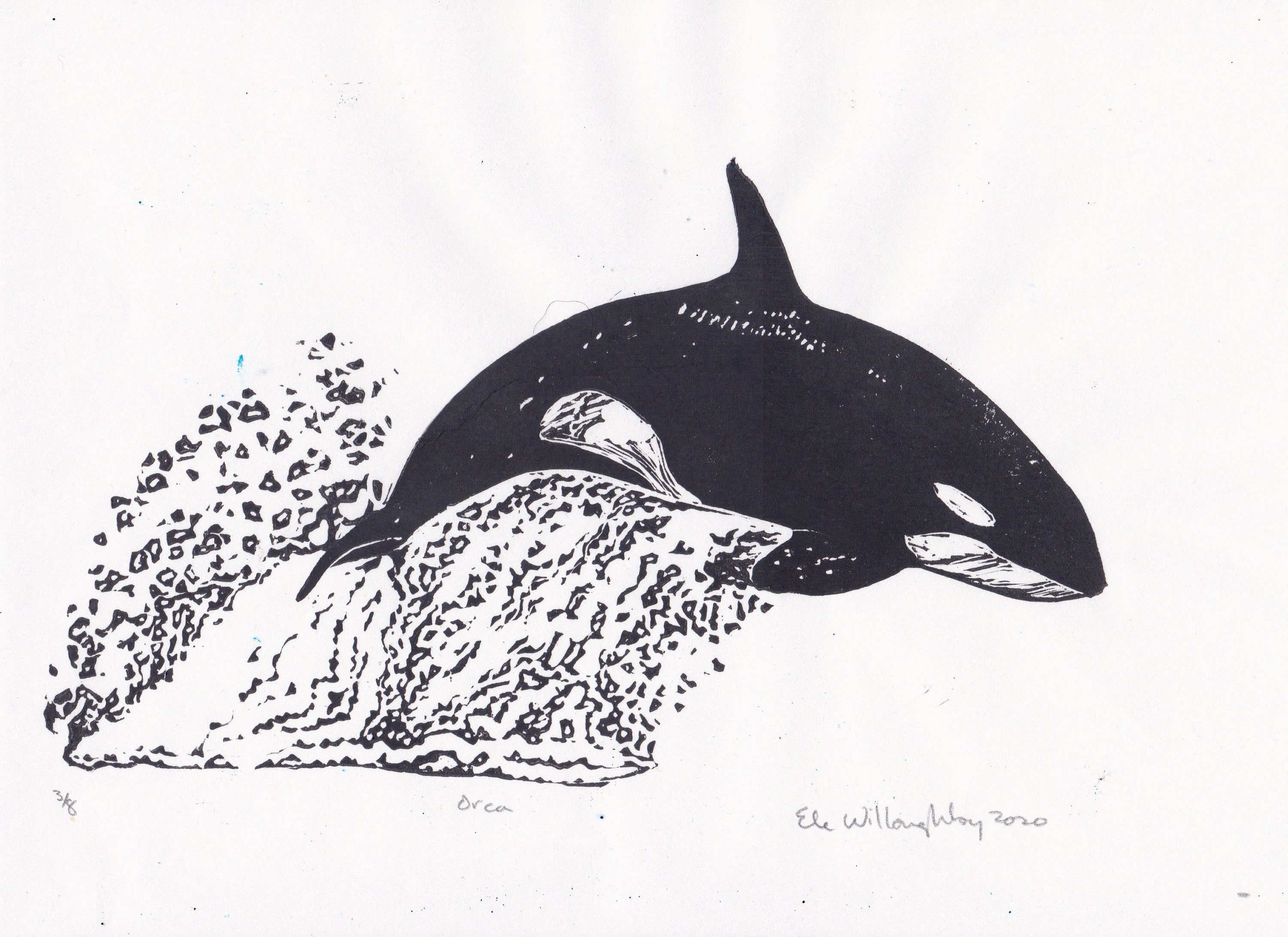 ラッセン直筆スケッチ　シャチ どん兵衛、なぜラッセンとコラボ？ シャチとかき揚げ、日清に聞いた