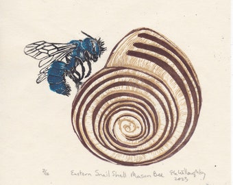 Eastern Snail Shell Mason Bee Lino Block Print, Osmia conjuncta with Cepaea shell