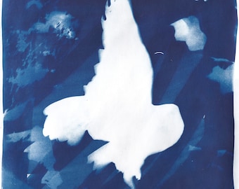 Owl in Flight Silhouette Cyanotype, Fine Art Print of Flying Owl with Leaves and Flowers