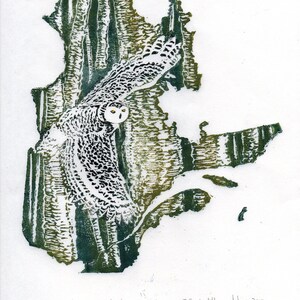 Quebec, Búho nival y Abedul amarillo, Linograbado, Mapas de provincias y territorios canadienses con símbolos, Búho nival y Abedul, Quebec
