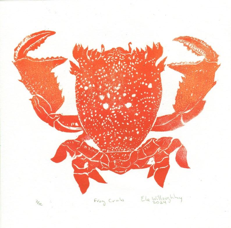 Lino Block Print Red Frog Crab, Ranina ranina, Spanner crab, True crab, Monarch of All Crabs image 1