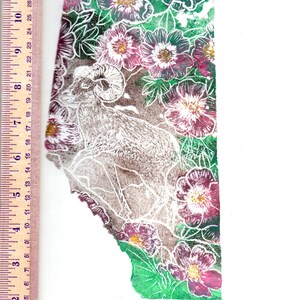 K&ouml;nnte beinhalten: Ein Linolschnitt der kanadischen Provinz Alberta mit einem Dickhornschaf in einem Blumenfeld. Der Druck ist mit "Alberta" betitelt und mit "Ele Willoughby 2013" signiert.