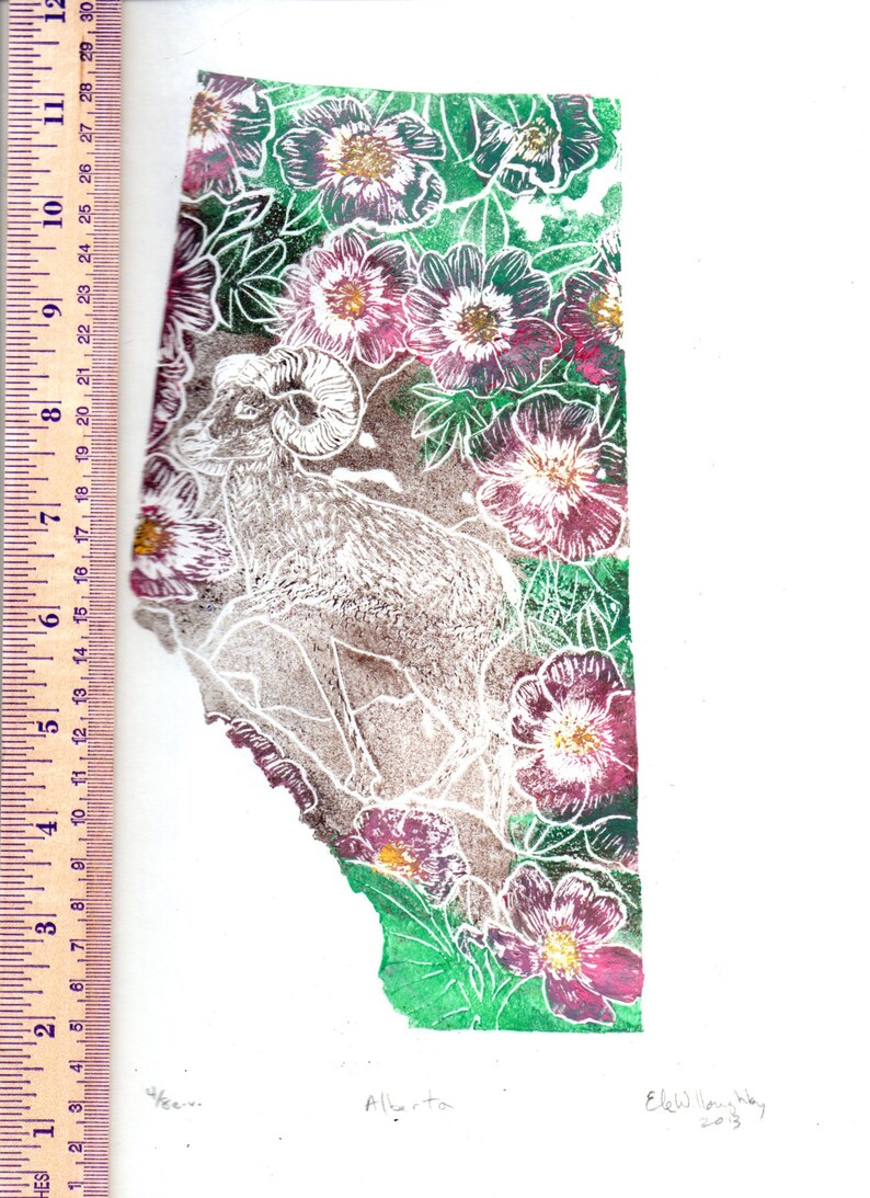 K&ouml;nnte beinhalten: Ein Linolschnitt der kanadischen Provinz Alberta mit einem Dickhornschaf in einem Blumenfeld. Der Druck ist mit "Alberta" betitelt und mit "Ele Willoughby 2013" signiert.