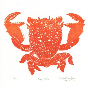 Lino Block Print Red Frog Crab, Ranina ranina, Spanner crab, True crab, Monarch of All Crabs image 4