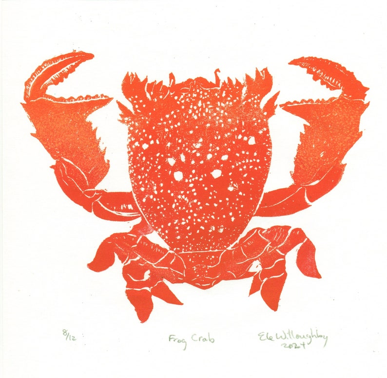Lino Block Print Red Frog Crab, Ranina ranina, Spanner crab, True crab, Monarch of All Crabs image 4