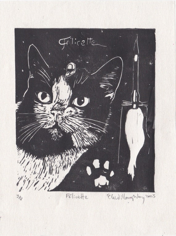 Cat in Space, What Happened to Felicette Cat, Cat Sent to Space
