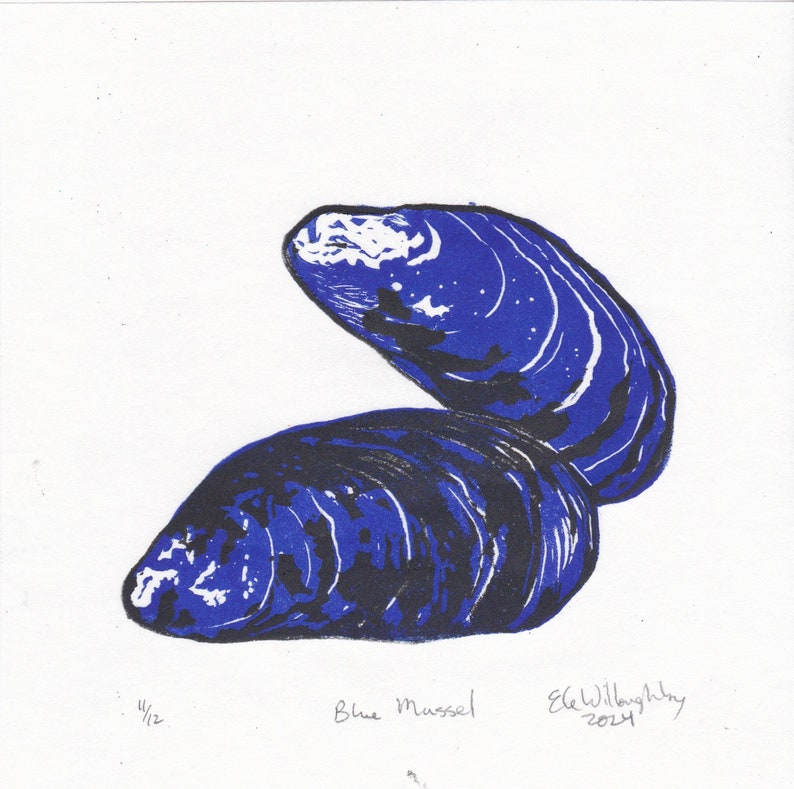 Blue Mussel lino block print, natural history hand-pulled print image 8