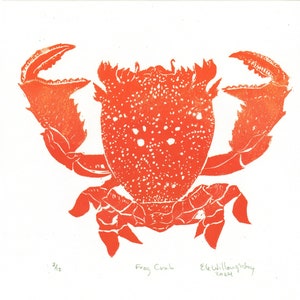 Lino Block Print Red Frog Crab, Ranina ranina, Spanner crab, True crab, Monarch of All Crabs image 2