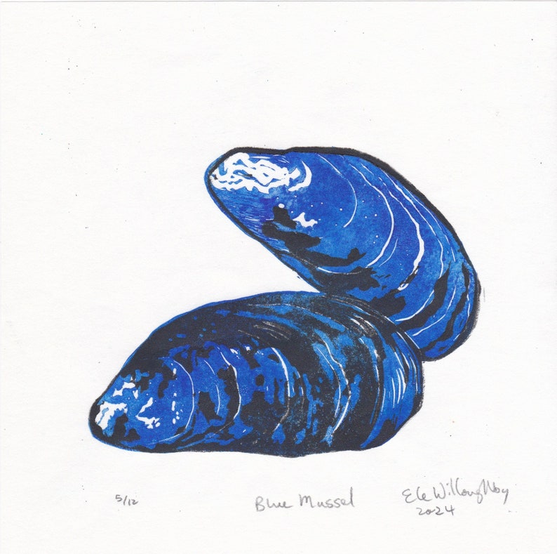 Blue Mussel lino block print, natural history hand-pulled print image 2