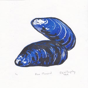 May include: A blue mussel shell print in blue and black ink on white paper. The print is signed "Blue Mussel" and "Ele Willoughby 2021" in black ink.