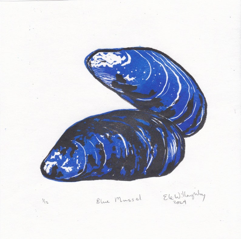 Blue Mussel lino block print, natural history hand-pulled print image 1