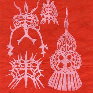 Silicon Print with Crystal, Quartz and Radiolarians, Periodic Table Lino Block Print Chemical Element Silicon image 7