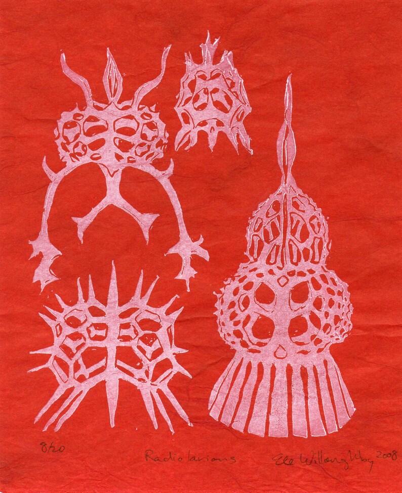 Silicon Print with Crystal, Quartz and Radiolarians, Periodic Table Lino Block Print Chemical Element Silicon image 7