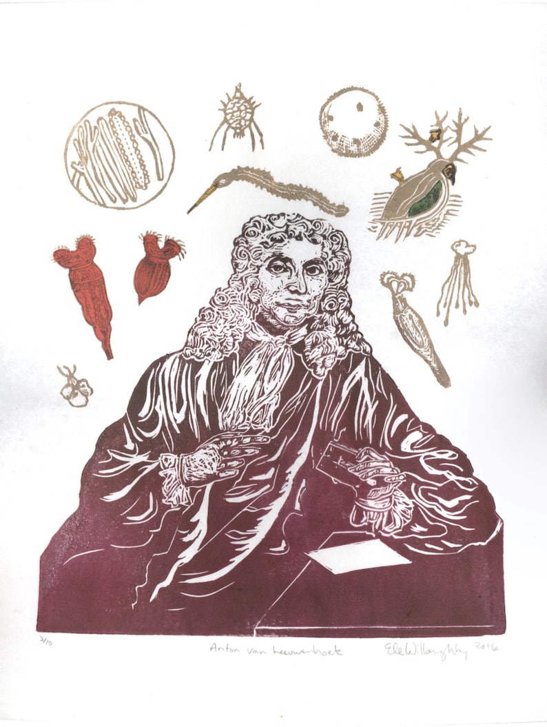 Antonie van Leeuwenhoek Portrait with his Microscope and Animacules, Lino Block Print History of Science, Microbiology image 1