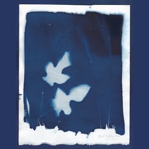 Cyanotype of Mulberry Leaves and Grasses, On Watercolour Paper With Deckle Edge