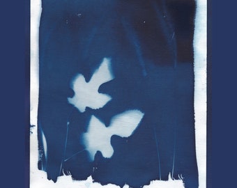 Cyanotype of Mulberry Leaves and Grasses, On Watercolour Paper With Deckle Edge