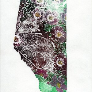 K&ouml;nnte beinhalten: Ein Schwarz-Wei&szlig;-Linolschnitt eines Dickhornschafs, das in einem Blumenfeld steht. Der Druck ist in Form der kanadischen Provinz Alberta gehalten. Der Druck ist mit "Alberta" betitelt und mit "Ele Willanshay 2013" signiert.