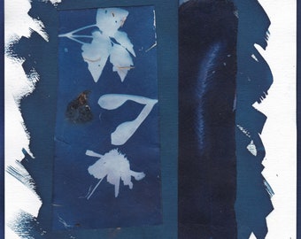 Collage of Cyanotypes of Maple Keys and Tiny Tree, Cone Flower and Grass on Various Handmade Japanese Washi Papers