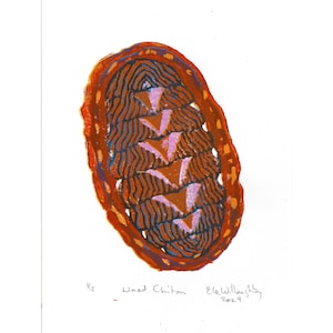 Lined Chiton Reduction Lino Block Print, Tiny Beautiful Colourful Tonicella lineata, Marine Mollusc of the North Pacific