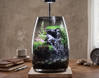 Glass micro landscape, office decoration, ecological bottle