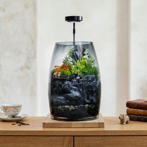 May include: A glass terrarium with a dark gradient finish containing a miniature landscape with grey rock formations, green and orange artificial plants, and a small wooden bridge, topped with a black LED light fixture on a wooden base.