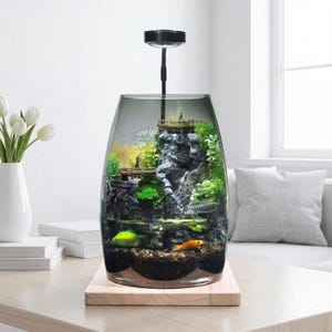 May include: A glass terrarium aquarium featuring a dark gray tinted vessel, a black overhead light, and a wooden base. Inside, a rocky landscape with green moss, miniature wooden bridges, and small figurines sits above a gravel bed with two fish.