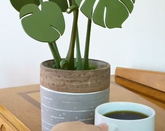 Monstera Coaster Set with terracota pot.