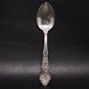 May include: A silver-toned metal spoon featuring an ornate handle with embossed grape and leaf motifs. The bowl of the spoon is smooth and oval-shaped, while the handle tapers toward a decorative base with a floral pattern at the very end.