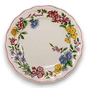 Spode Romany Floral Pink Rim 10 1/2&quot; Dinner Plate England