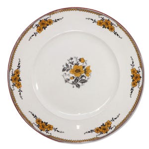 Alfred Meakin Congleton dinerborden 9 3/4&quot; vintage jaren 1950