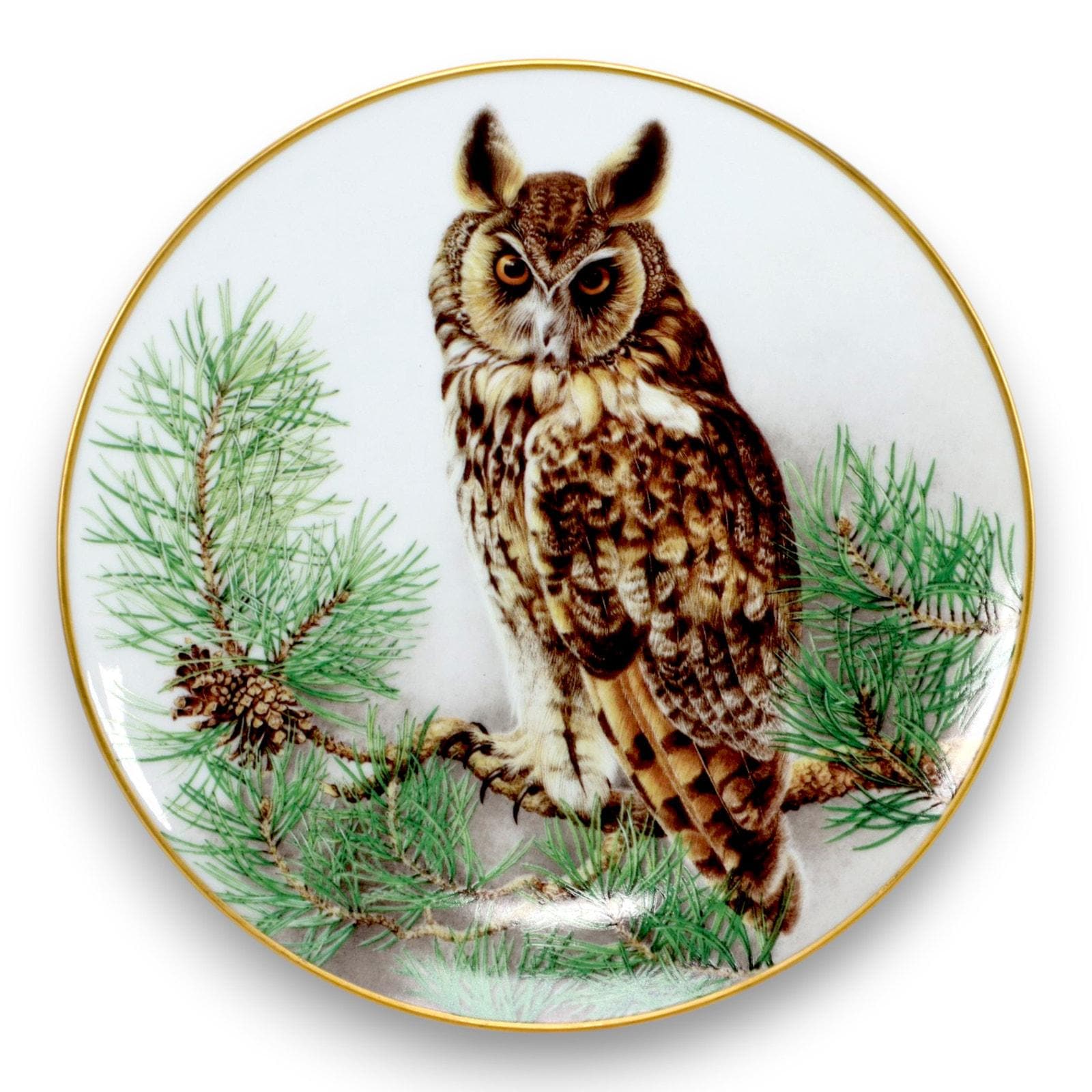 Franklin Porcelain Long-Eared Owl Richard Bibby 9" Bird Plate Vintage 1984