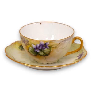 O & EG Oscar Edgar Gutherz Royal Austria Hand Decorated Tea Cup and saucer