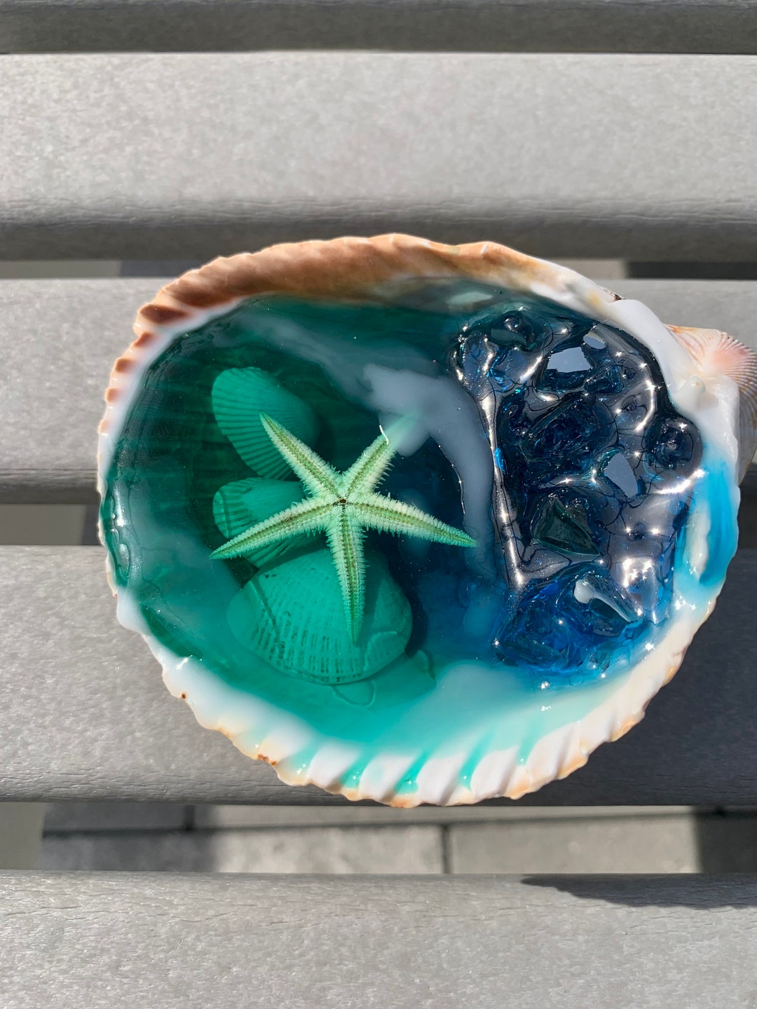 Decorative Accessory Beach Coastal Handmade Resin Seashell Ocean ...