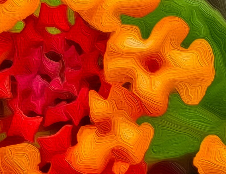 CITRIS LANTANA lantana Camara Flower Original Art, Canvas Print