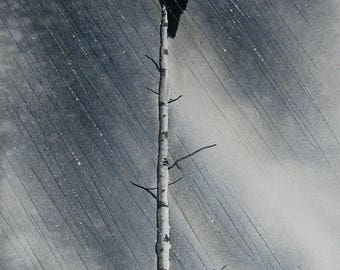 I Have Withstood All Weather FINE ART reproduction PRINT