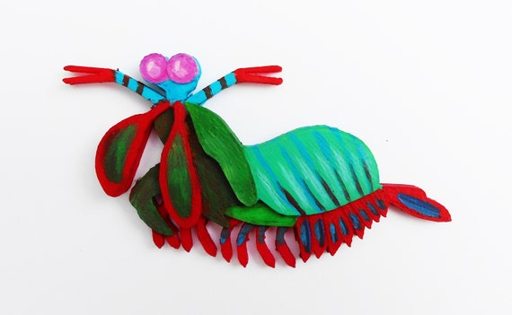 mantis shrimp stuffed animal