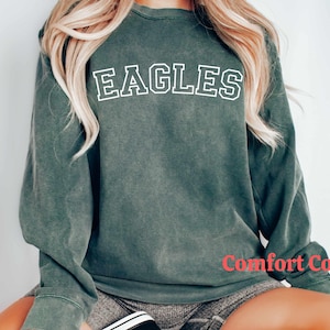 Custom School Mascot Shirt, Comfort Colors Distressed Team Spirit Tee, Game Day, Personalized Spirit Shirt, Gameday Apparel